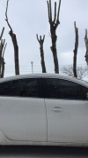 Автошторки Трокот на передние двери, укороченные под улучшенный обзор боковых зеркал для Mitsubishi Outlander 3 (2012-наст.время) Внедорожник 5 дв.